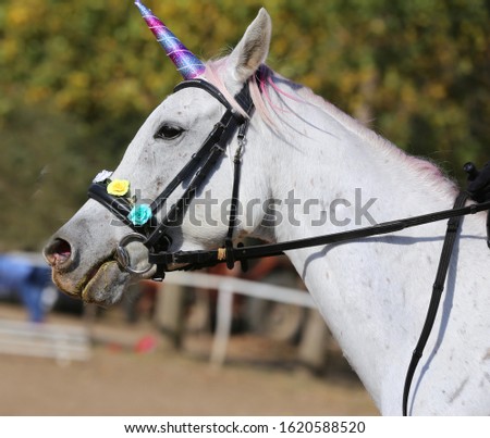 Beautiful magical unicorn horse realistic photography 