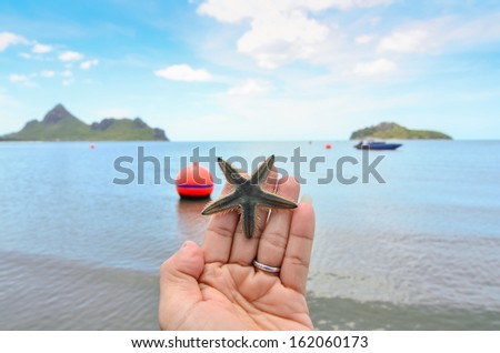 A starfish held in the palm of a hand on the beach