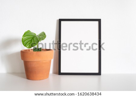 Black frame poster with calathea orbifolia plant on table