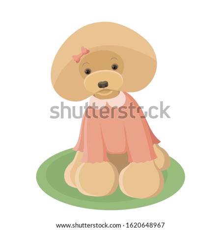 Cartoon red toy poodle illustration on white background. Dog illustration. Animal theme. Sitting red poodle image. Cute dog design. Pets design. Prints, greeting cards, T-shirt design.