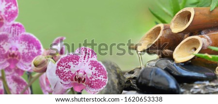 pink orchid and bamboo fountain in green background 
