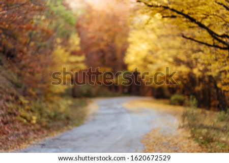 Defocused blurred autum background - valley in fall with yellow tree leaves