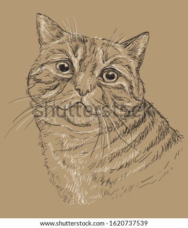 Vector hand drawing portrait of cat in black and white colors.Monochrome realistic retro portrait of cat.Vector vintage illustration isolated on beige background.Image good for design,cards and tattoo
