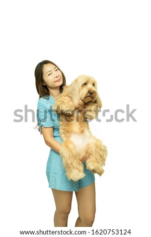Cute young Asian woman hug puppy Cockapoo dog. Asian female owner hold hairy Cockapoo dog (mixed breed, Cocker Spaniel + Poodle) Pretty Girl, little hairy Cocker spaniel, isolated on white background
