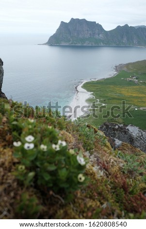 uttakleiv and haukland beach view from Veggen mountain. beautiful hike. natural pictures. famous beach for photography