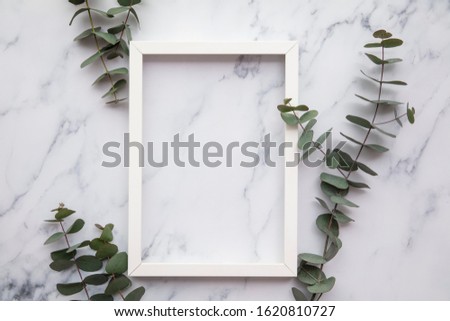 Blank white frame with eucalyptus leaves lay flat composition