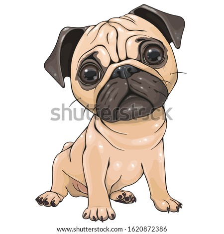 Cute Cartoon Pug Dog isolated on a white background