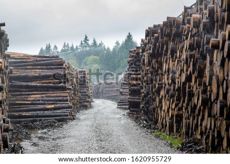 Storage for timber with artificial irrigation to preserve the logs