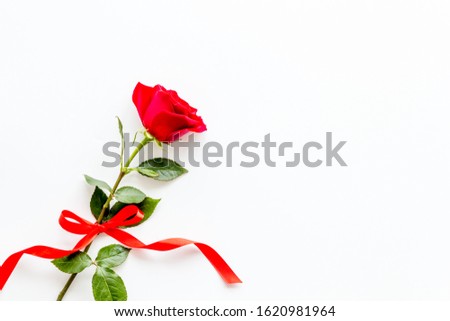 Valentine's Day. Red rose with a ribbon. White and grey background top view and mockup