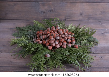 nuts on the boards and branches of spruce.