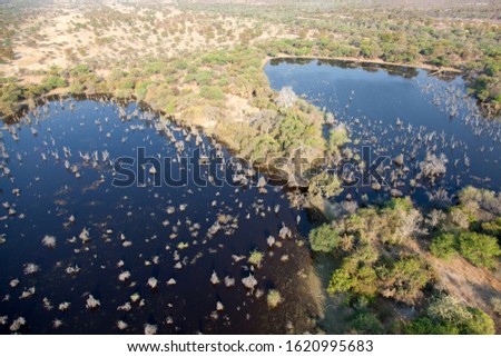 Aerial view of the Okavango Delta, Botswana. The vast inland delta is formed from the Okavango River. This flows into the Delta, creating a beautiful mosaic of water channels, grasslands and lagoons.