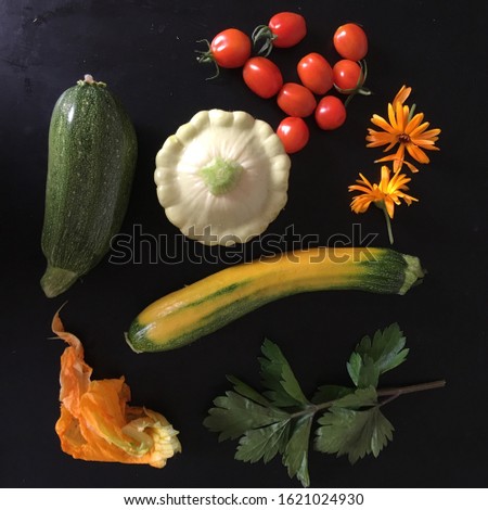 ORGANIC HARVEST OF SCALLOP EDGE SUMMER SQUASH,RED PEARL ,
TOMATOES,CALENDULA MARIGOLD,TOMATO,COURGETTES,CELERY LEAVES AND COURGETTE FLOWER ON BLACK BACKGROUND.