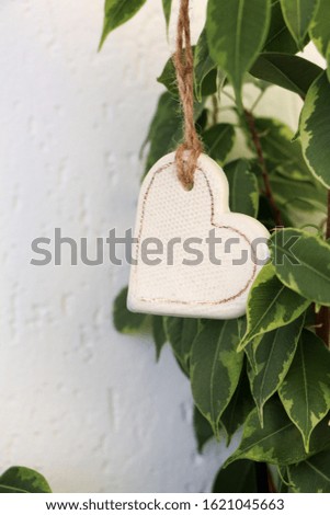 White ceramic heart hanging on ficus branches