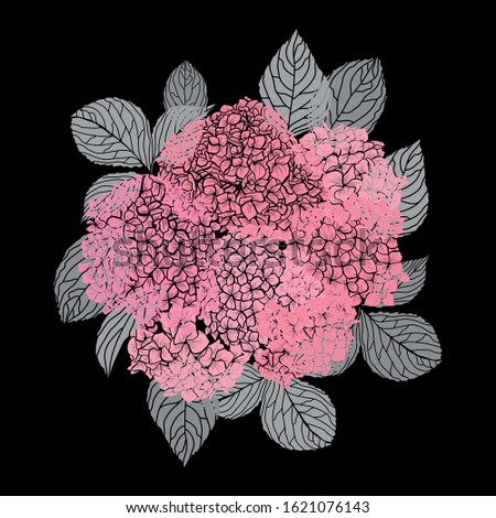 Decorative hand drawn hydrangea flowers, design elements. Can be used for cards, invitations, banners, posters, print design. Floral background in line art style