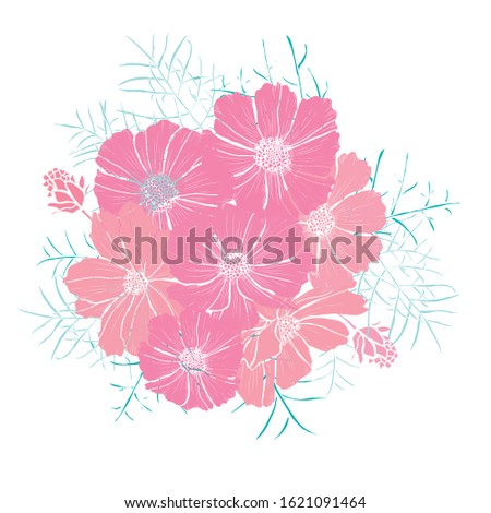 Decorative hand drawn cosmos  flowers, design elements. Can be used for cards, invitations, banners, posters, print design. Floral background in line art style