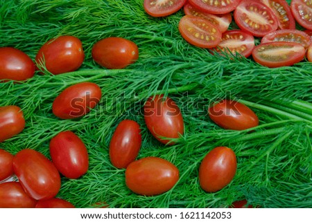 Cherry tomatoes on a background of dill.