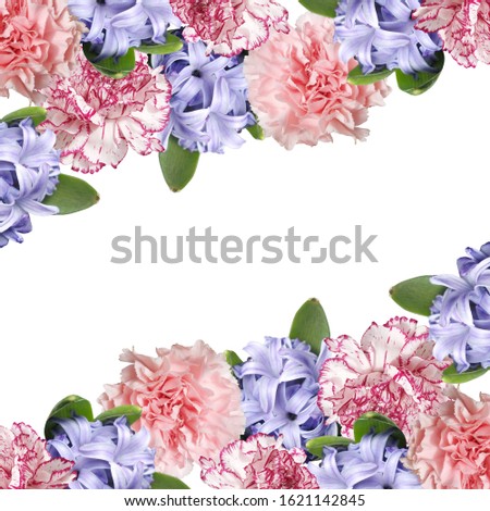 Beautiful flower background of carnation and hyacinth. Isolated