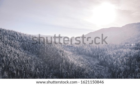 Ukraine, snowy Carpathian mountains, aerial photography.