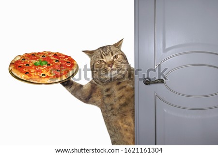 The beige cat with a tray of pizza opens the door. White background. Isolated.