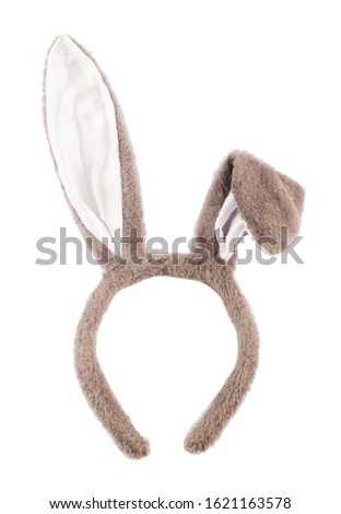 Easter gray rabbit fancy dress ears isolated on a white background