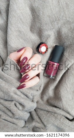 Female hand with long nails and a dark red burgundy manicure holds a bottle of nail polish