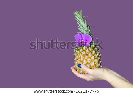 exotic tropical ripe pineapple fruit in hand, with purple orchid flower, isolated on purple background, with copy space, vegan and vegetarian food