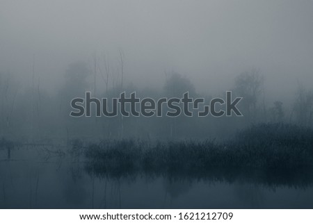 Mysterious fog on the river. Fall season. Web banner.