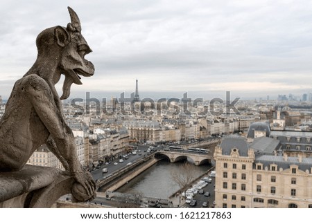 views of Paris from the Notre Dame