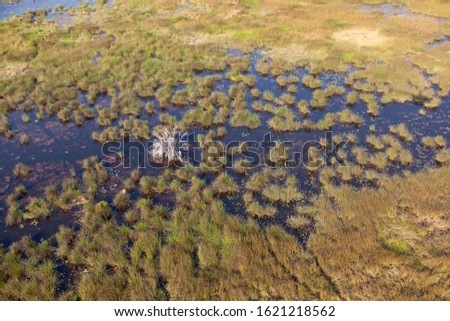 Aerial view of the Okavango Delta, Botswana. The vast inland delta is formed from the Okavango River. This flows into the Delta, creating a beautiful mosaic of water channels and grasslands.