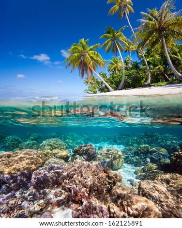 Beautiful tropical island in French Polynesia under and above water