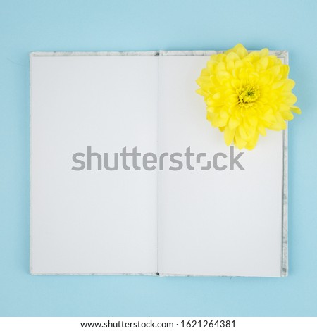 Top view of a open notebook, notepad with blank sheet with Yellow chrysanthemum flowers . Opal. Flat lay, spring background At blank copy space, over light blue background.