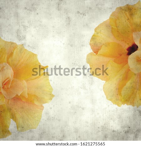textured stylish old paper background, square, with large orange hibiscus