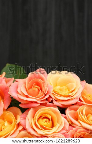 Pink  roses Miss Piggy  bouquet. At blank copy space, over black wooden background. Vertical photo.