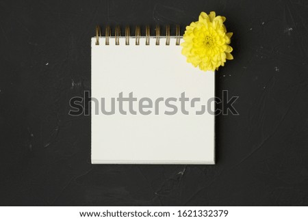 Top view of a open notebook, spiral notepad with blank sheet with Yellow chrysanthemum. Flat lay, spring background At blank copy space, over black background.