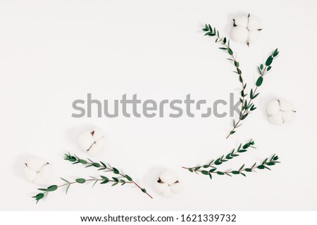 Modern composition of flowers and eucalyptus. Pattern made of eucalyptus branches and leaves, cotton flowers on white background. Flat lay, top view, copy space

