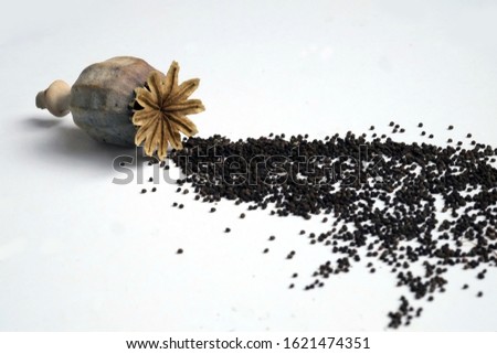 Poppy seed capsule, poppy seeds