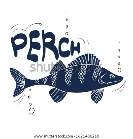 Fishing logo. Perch. Fishing vector illustration. Isolated on white.