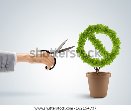 Image of human hand cutting leaves of pot plant