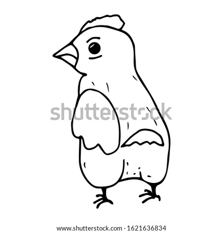 Cute little cockerel in doodle style. Sketch chicken sign. Coloring book. Design for cards, stickers. Hand-drawn. Vector isolated illustration on a white background for children.


