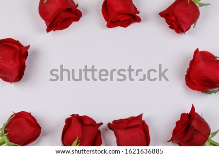 Red rose flowers frame composition on white background top view with copy space. Valentine's day, birthday, wedding, Mother's day concept. Copy space