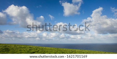 meadow with green grass and clouds over the sea