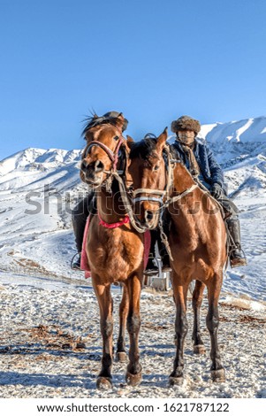 Horse with a rider on a background of mountains covered with snow and the sky with clouds. Mountain landscape.