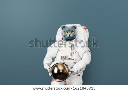 Funny cat astronaut in a space suit with a helmet on a gray background. British cat spaceman. Creative idea Royalty-Free Stock Photo #1621845913