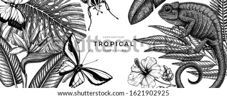 Tropical banner design. Vector frame with hand drawn tropical plants, exotic flowers, palm leaves, insects and chameleon. Vintage beach background. Summer template with jungle plants and animals.