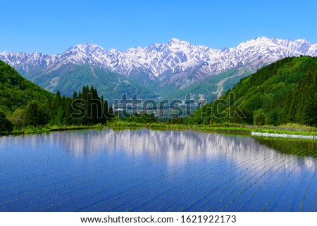 Japanese Northern Alps with terraced paddy field.This place is Aoni area.Hakuba,Nagano,Japan.Late May. Royalty-Free Stock Photo #1621922173