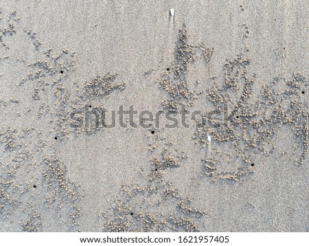 Crab nest, Circle and hole pattern in sand beach texture, Abstract background concept