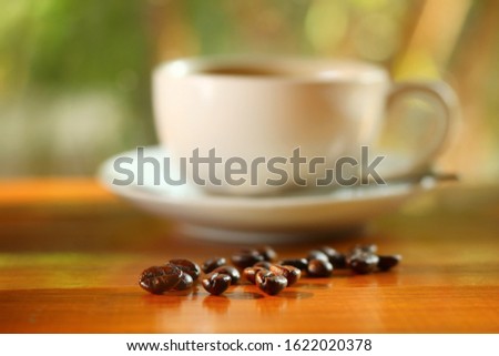 Natural organic roasted coffee beans