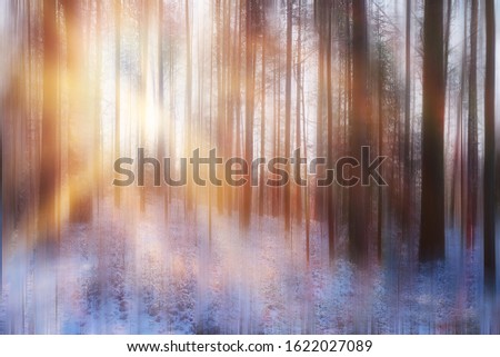 blurred background forest winter landscape motion, abstract motion picture