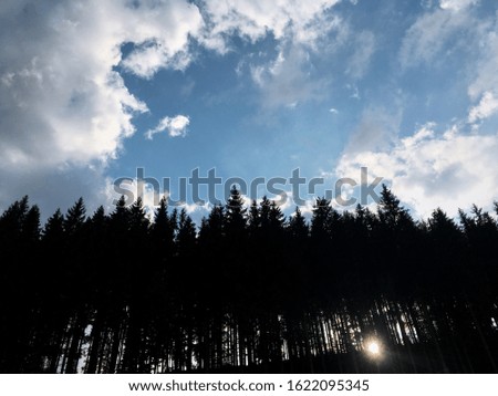 Sunset in the mountains. Shadows of conifer trees with blue sky and white grey clouds. Natural background. Travel picture