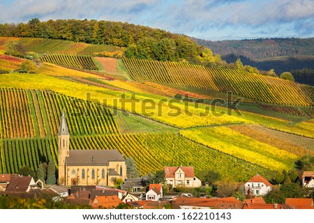 Vineyards with autumn colors, Pfalz, Germany Royalty-Free Stock Photo #162210143